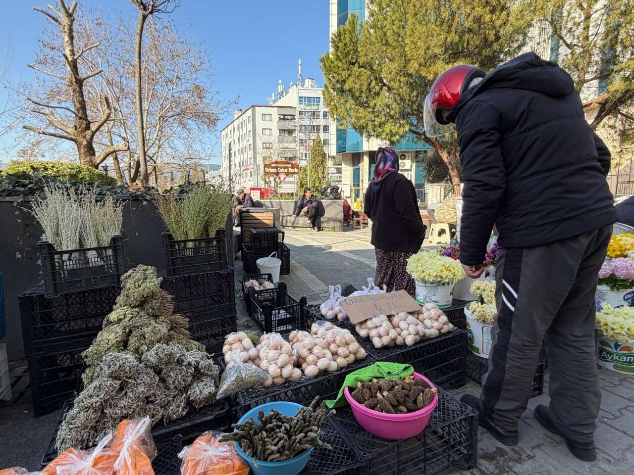 Kuzugöbeğinin Fiyatı Gram Altınla Yarışıyor 4